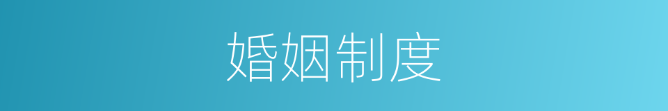婚姻制度的同义词