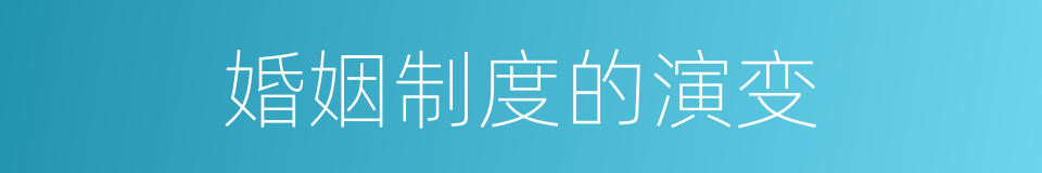 婚姻制度的演变的同义词