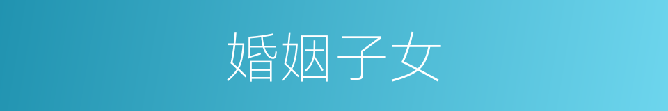 婚姻子女的同义词