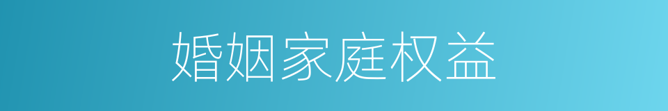 婚姻家庭权益的同义词