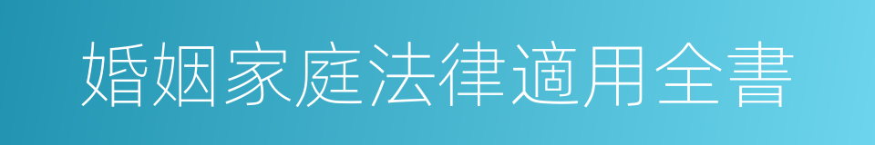 婚姻家庭法律適用全書的同義詞