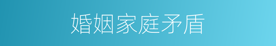 婚姻家庭矛盾的同义词