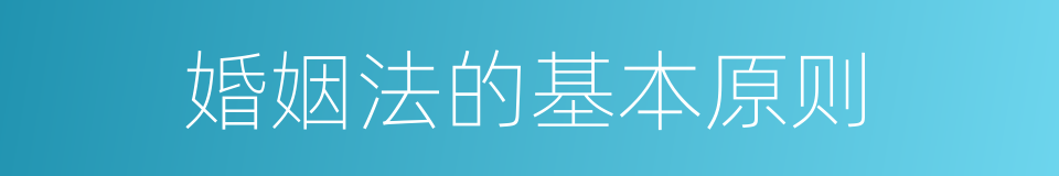 婚姻法的基本原则的同义词