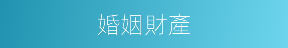 婚姻財產的意思