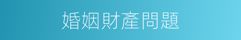 婚姻財產問題的同義詞