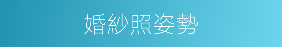 婚紗照姿勢的同義詞