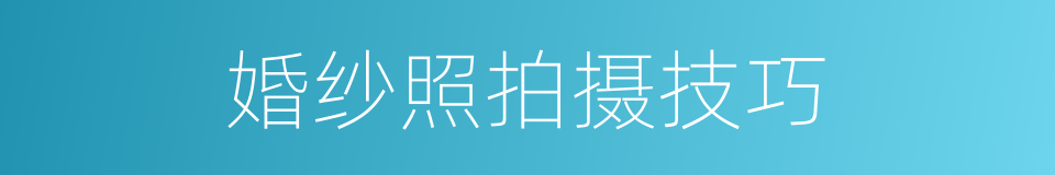 婚纱照拍摄技巧的同义词