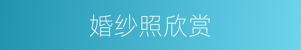 婚纱照欣赏的同义词