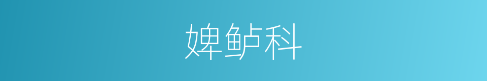婢鲈科的同义词