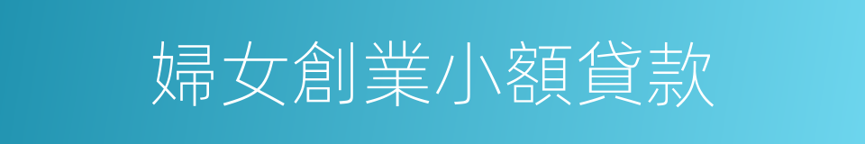 婦女創業小額貸款的同義詞