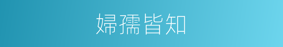 婦孺皆知的意思