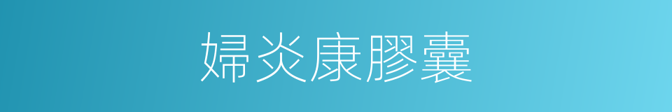 婦炎康膠囊的同義詞