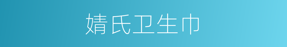 婧氏卫生巾的同义词