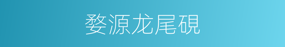 婺源龙尾硯的同義詞