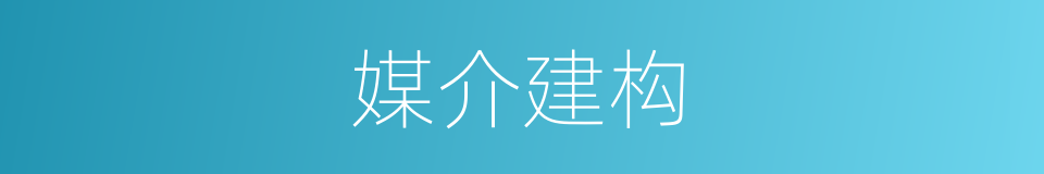 媒介建构的同义词