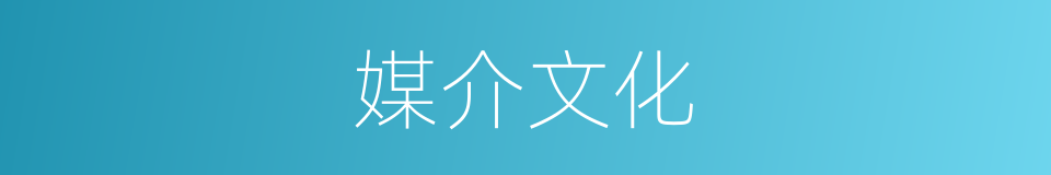 媒介文化的同义词