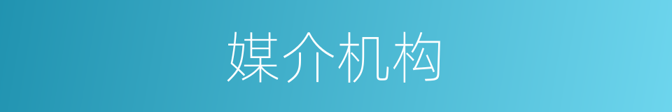 媒介机构的意思
