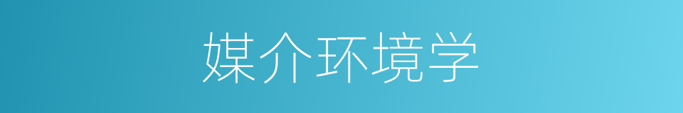 媒介环境学的同义词