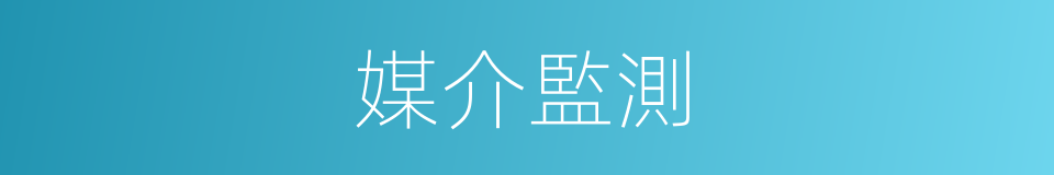 媒介監測的同義詞