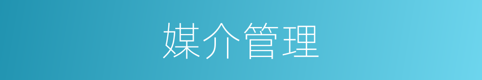 媒介管理的同义词