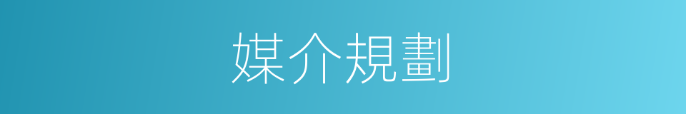 媒介規劃的同義詞