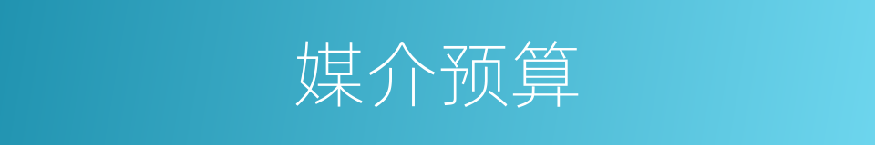 媒介预算的同义词