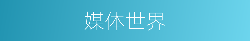 媒体世界的同义词