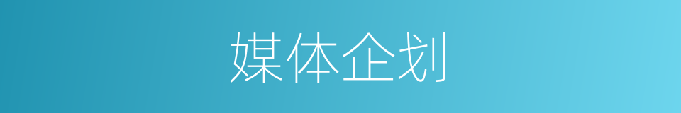 媒体企划的同义词