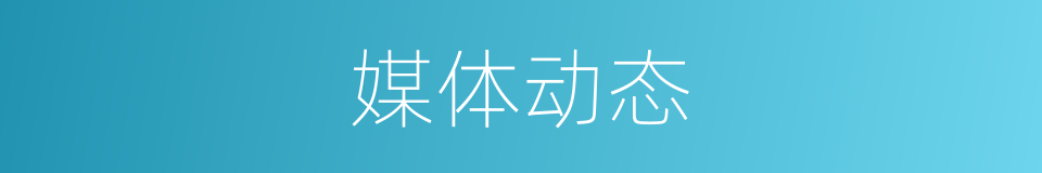媒体动态的同义词