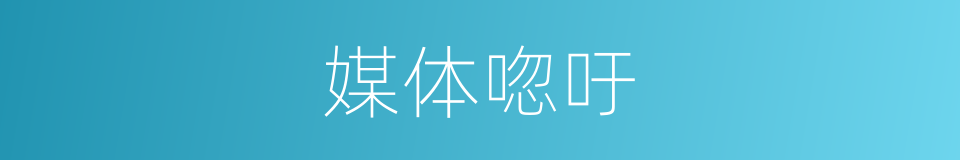 媒体唿吁的同義詞