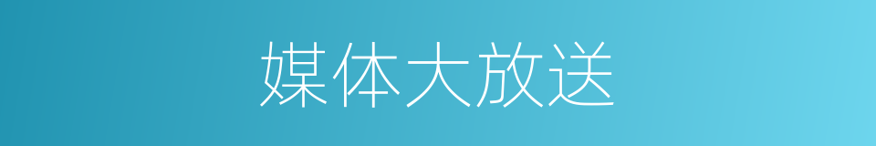 媒体大放送的同义词