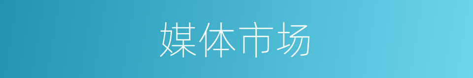 媒体市场的同义词