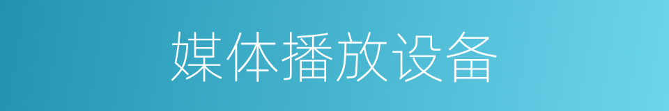 媒体播放设备的同义词