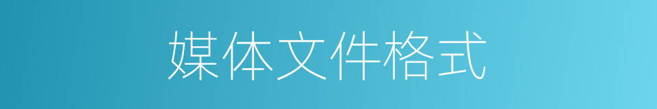 媒体文件格式的同义词