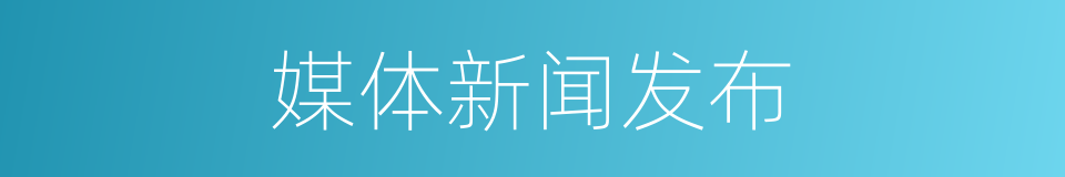 媒体新闻发布的同义词