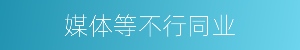 媒体等不行同业的同义词