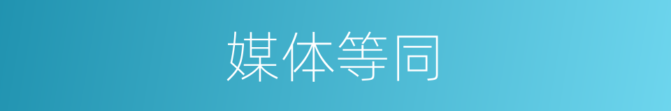 媒体等同的同义词