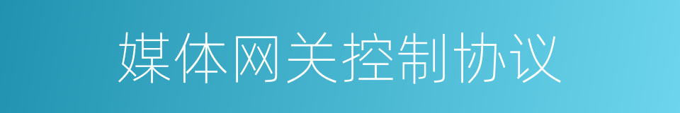 媒体网关控制协议的同义词