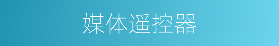 媒体遥控器的同义词