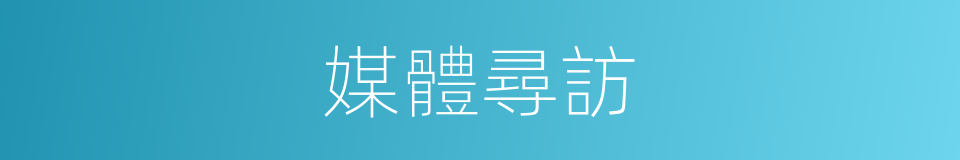 媒體尋訪的同義詞