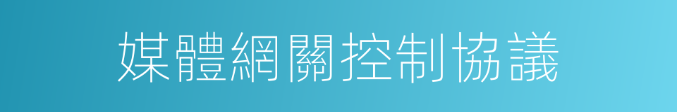 媒體網關控制協議的同義詞