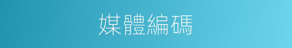 媒體編碼的同義詞