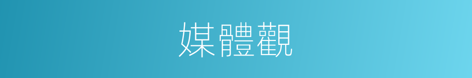 媒體觀的同義詞