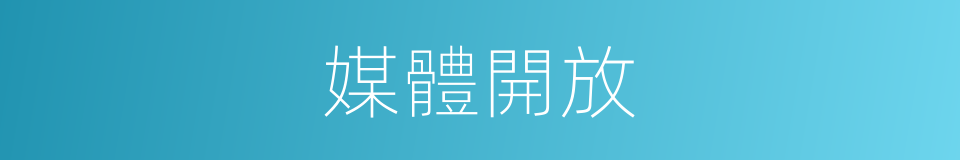 媒體開放的同義詞