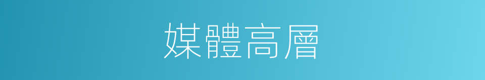 媒體高層的同義詞