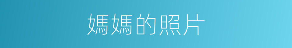 媽媽的照片的同義詞