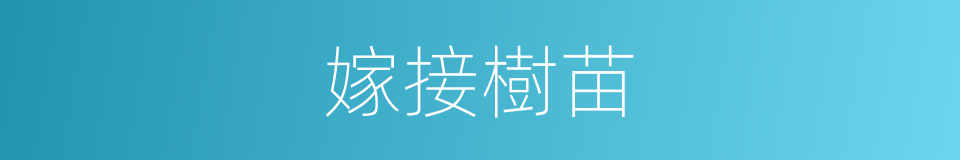 嫁接樹苗的同義詞