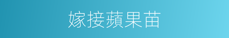 嫁接蘋果苗的同義詞