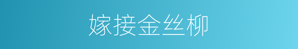 嫁接金丝柳的同义词