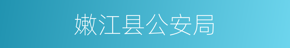 嫩江县公安局的同义词